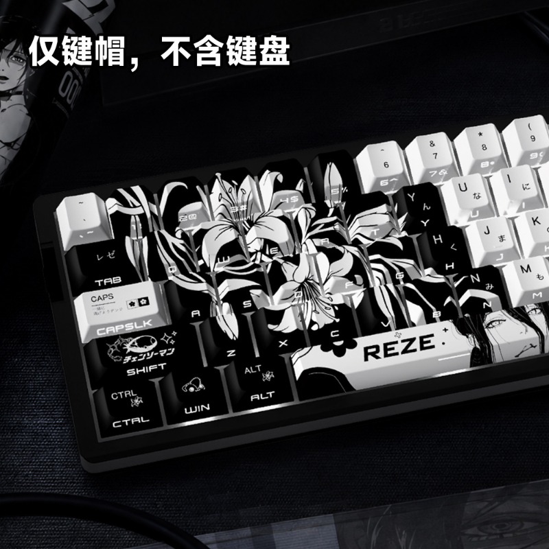 NEUE Reze 5.0 Anime-Tastenkapp – Gaming Pc Equipment Bewertung und Preis